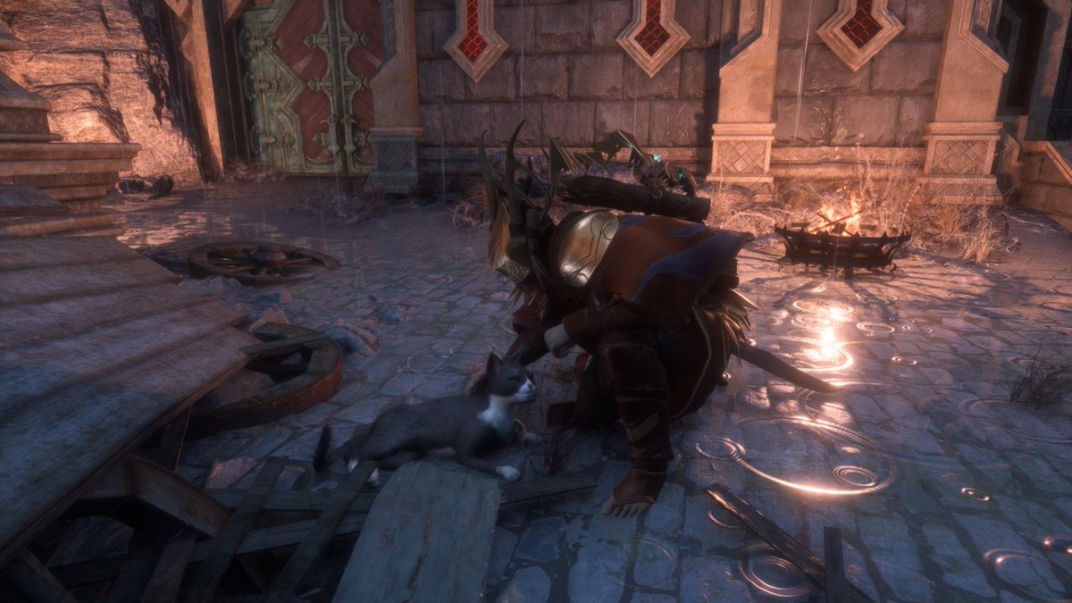 FoxParlance's tweet photo. 10/10 game.
#DragonAgeVeilguard https://t.co/VmzWsWqxMt