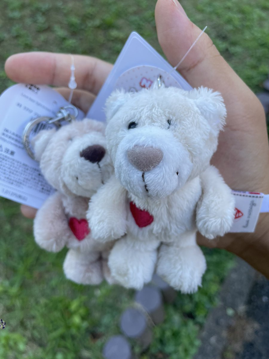 今日は親の結婚記念日だから2人に色違い
のくまちゃんプレゼントした🎁
これからも元気でいて欲しいな❣️