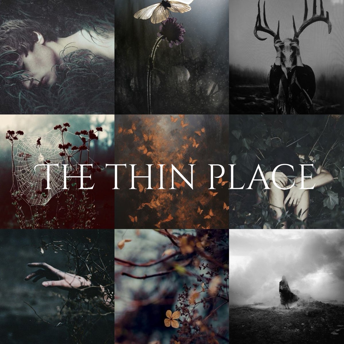 HOUSE OF HOLLOW x 1 DARK WINDOW

Ash Fall must find her sister in the land of the dead—and come out alive—with help from her childhood crush who she blames for her sister’s disappearance.

🖤Horrormance
🕷️Small town spooky vibes
💨Living fog
☠️Body horror
#questpit #q #ya #h #r