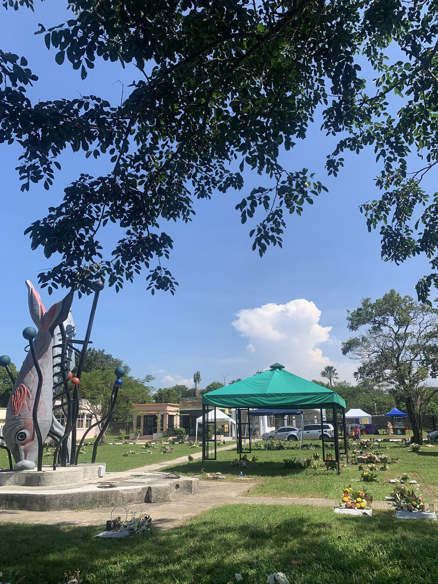 GerLayag's tweet image. Hello Forest Lake! 🕯️🕯️🕯️