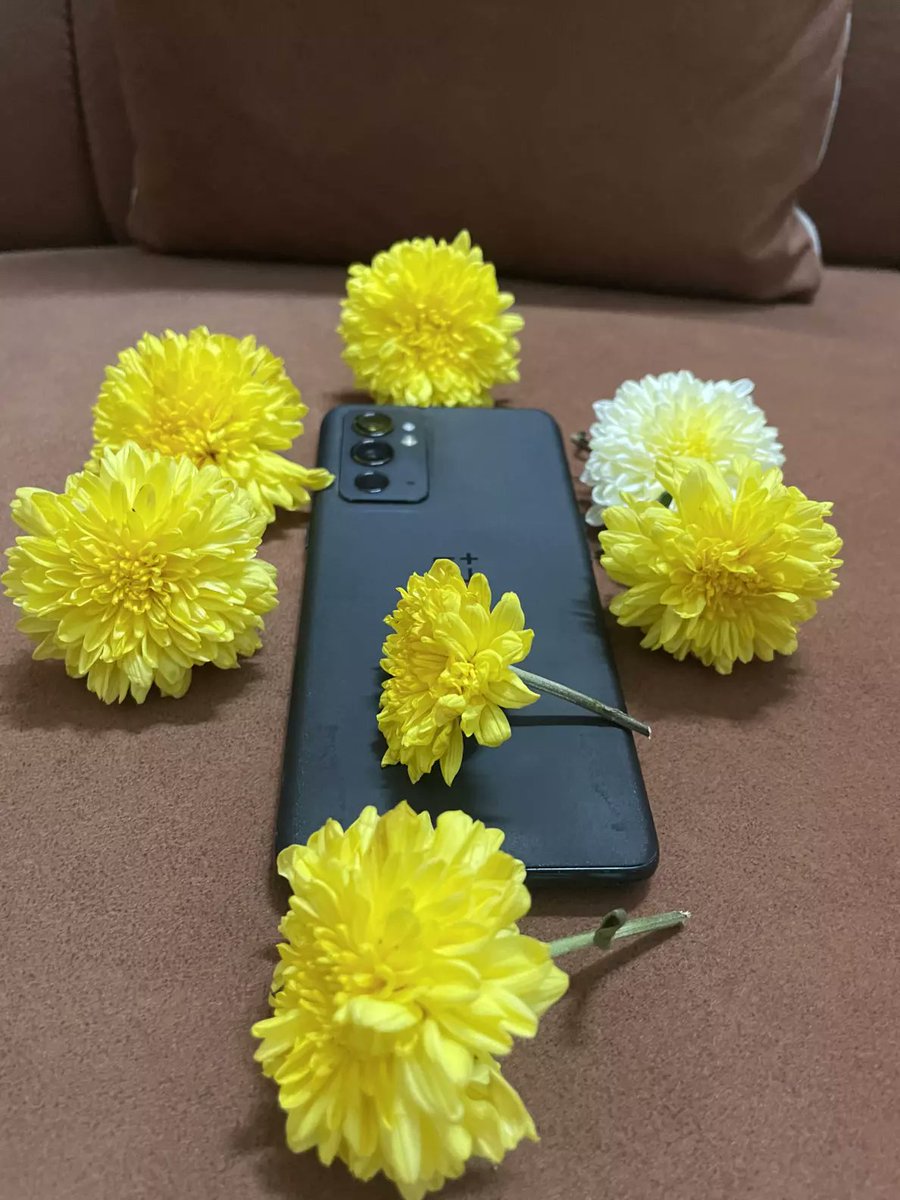 BOTIFYOFFICIAL's tweet photo. RIP 9rt is dead after updating to the october patch 
I recently updated i went to service centre yesterday they said motherboard is dead and i have to give 30k to fix it 
i asked the issue their reply was&amp; i quote its machine sir anything can happen to it for no reason #OnePlus😇 https://t.co/3qEmxZ1pO5