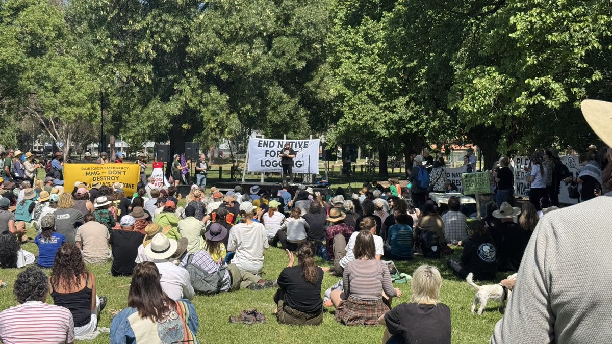 ArnoldKrumm's tweet image. A decent turnout in Melbourne #politas #auspol24 #nativeforest