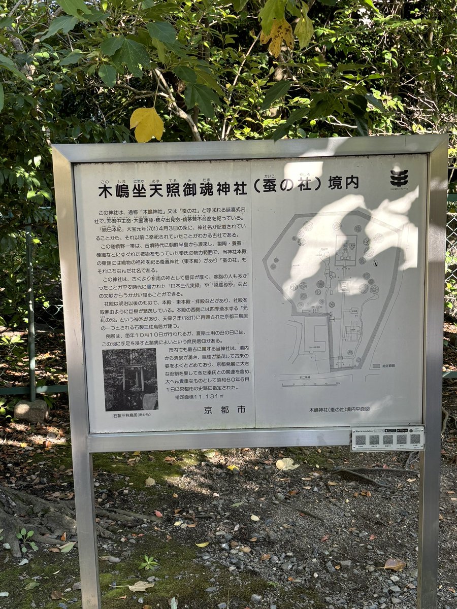 hashimotogyosyo's tweet photo. 今日は休日なので木嶋坐天照御魂神社（蚕ノ社）へ初めて行ってきました。といっても家からは歩ける距離で、まさに灯台下暗し。全国でも珍しい三本柱の鳥居が神秘的な雰囲気でした。 https://t.co/1Gc3hFaQ05