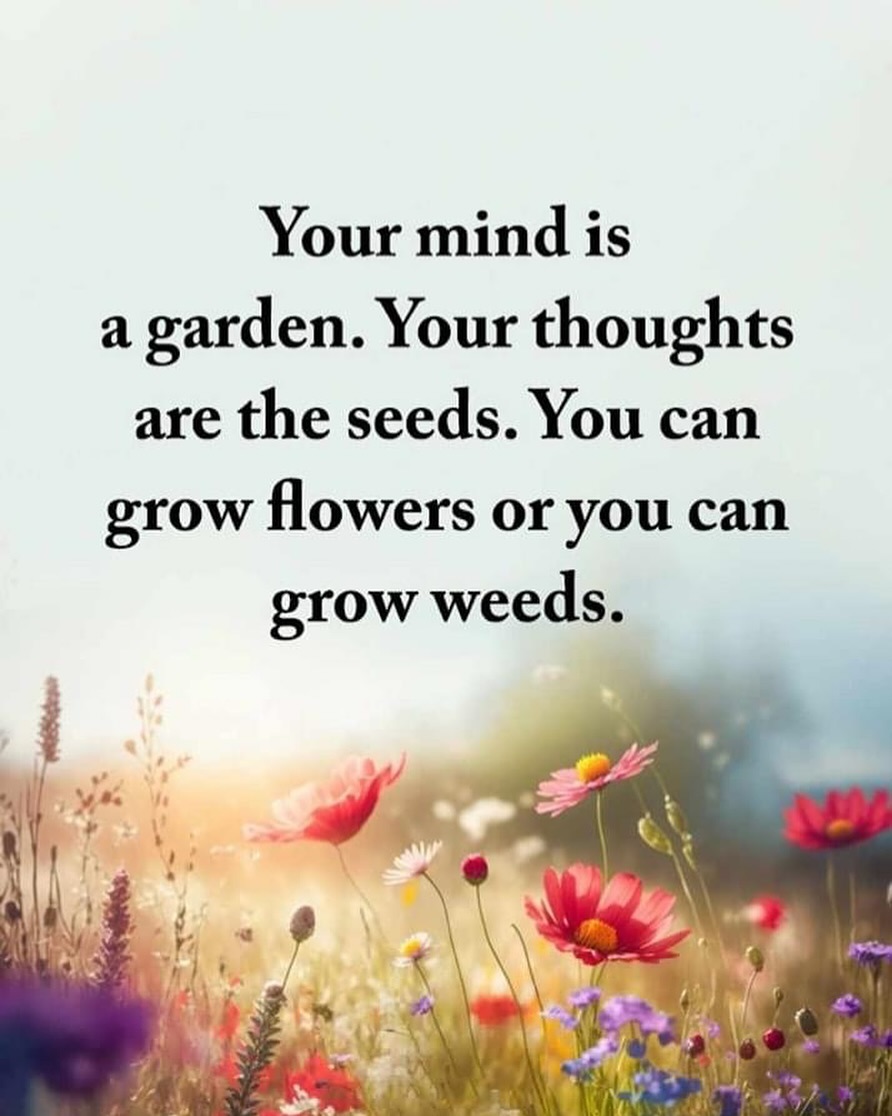 Your mind is a garden... 🌱💭