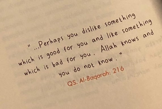 Rapunzel tweet media