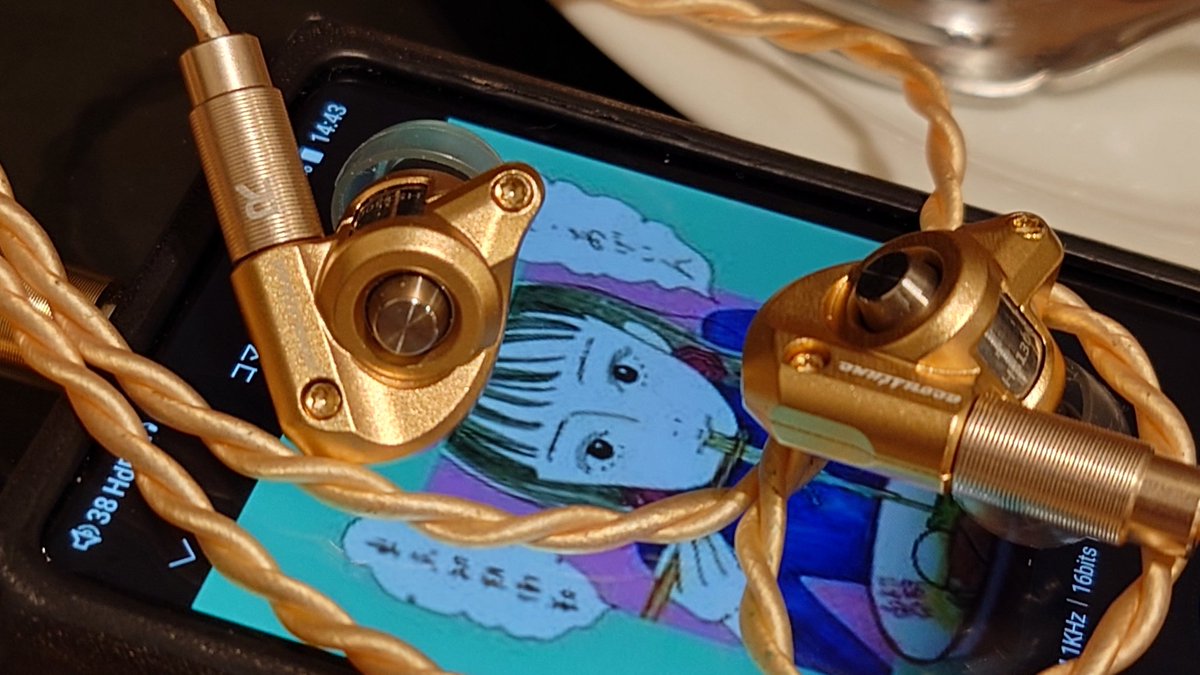 ryoutadb's tweet photo. という訳で今日はAcoustune Hs1300ssとArc71でした。いつかは笙とか思ってましたが先に新作が出ちゃってますw😇とりま95ti、75ssと3種で愉しめてるので買い足しは慎重です😇やっぱり買うなら笙ですね!中身は5or1がいいです😇あ、言うのわタダですよ😇
#acoustune
#hs1300ss
#今日のイヤホン https://t.co/zWbz7dIZrC