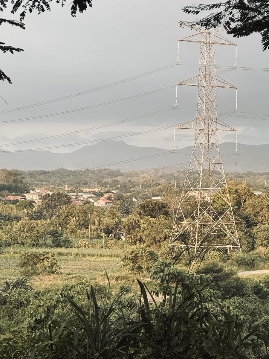 Soaking in the calm before the whirlwind starts again.