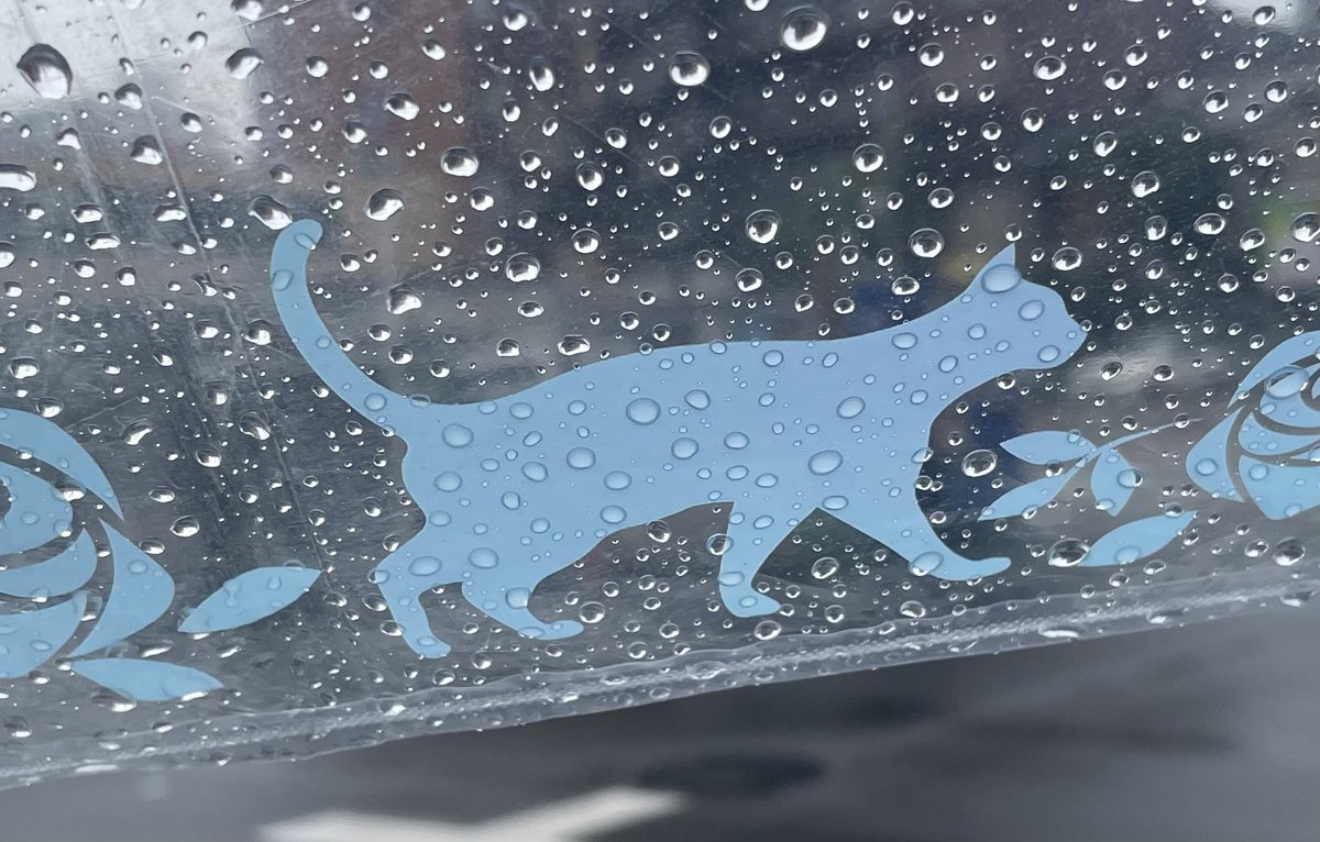 ukg2439's tweet photo. 雨の日の事。
傘の猫に顔ができた。
#雨の日 ＃ビニール傘 ＃猫が好き https://t.co/ExRe6EXjM3