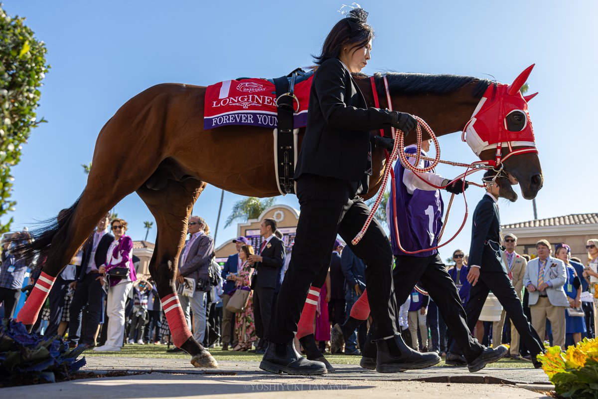 _ytphoto's tweet photo. 11.02 Del Mar
Breeders' Cup Classic (GⅠ)

Forever Young × Ryusei Sakai

#ForeverYoung
#フォーエバーヤング https://t.co/57ZLplbuIz