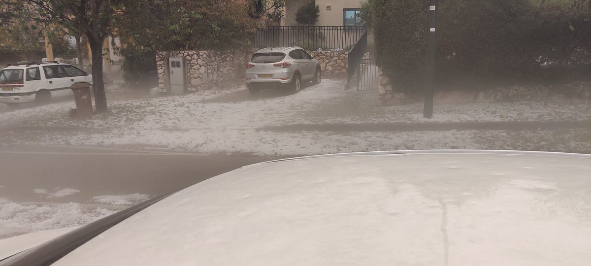 Ron Orbach tweet media