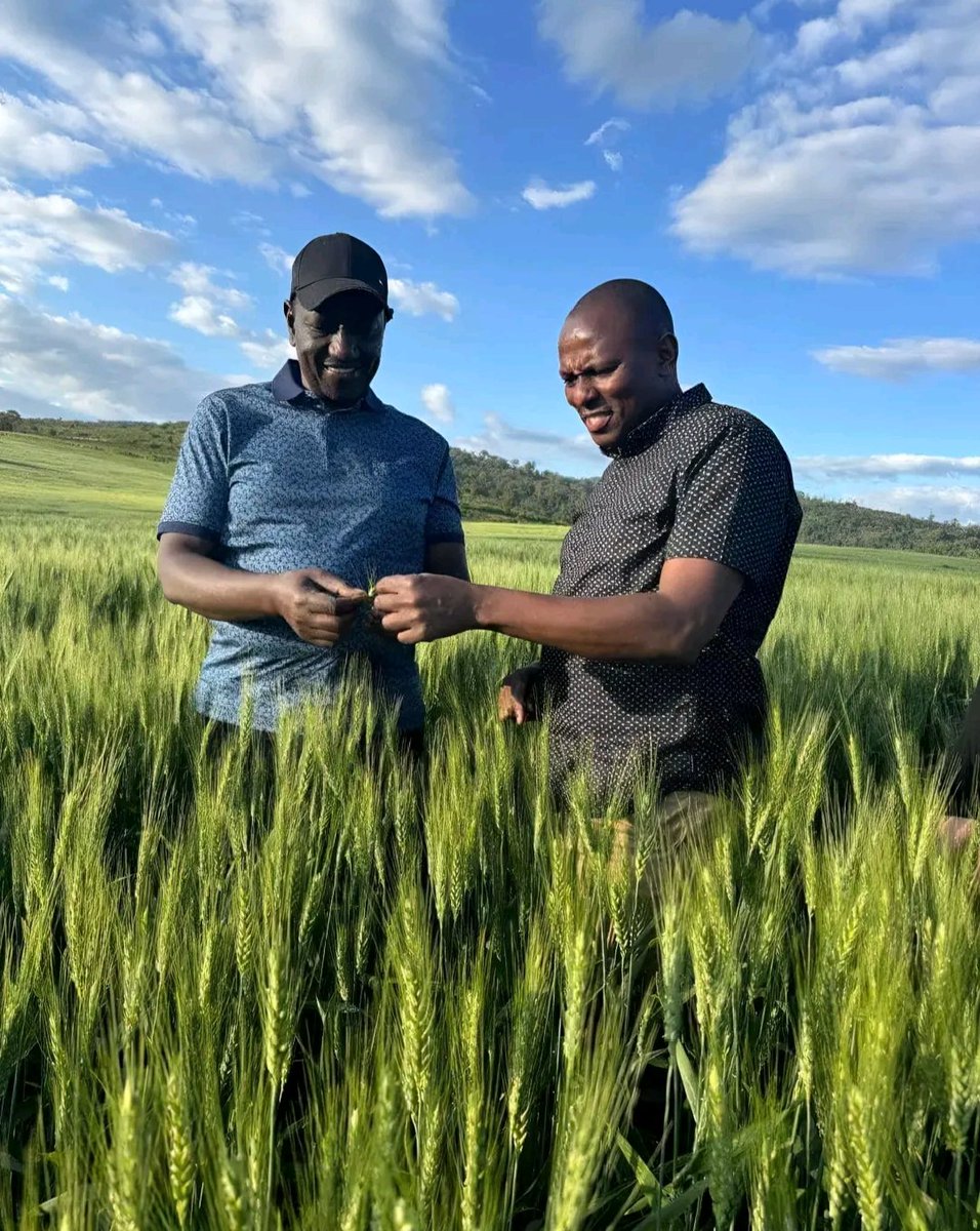 George T. Diano tweet media