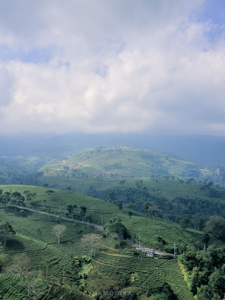 Green Field. Surakarta, Indonesia. #field #Photoism #PhotographyIsArt #photographers #Photographie #photographer #openfield #green #portraitphotography #portraits #portrait #Cloudy #warm #cool_portrait_