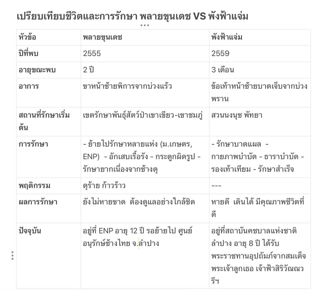 LUStVyKVKN6srFR's tweet photo. 🐘พลายขุนเดช VS🐘 พังฟ้าแจ่ม
เส้นทางชีวิตต่าง ชะตากรรมต่าง
ช้างป่า... สัตว์คู่แผ่นดินไทย ที่บ่อยครั้งต้องเผชิญกับภัยอันตรายจากน้ำมือมนุษย์ ไม่ว่าจะเป็นการล่า หรือบ่วงแร้ว ที่พรากอิสรภาพ ทำลายชีวิตจนกลายเป็นสัตว์พิการ
CR :The Publisher
#TheEcho
#ThePublisher
GolfyTT☕ https://t.co/DiyZkEN0XG