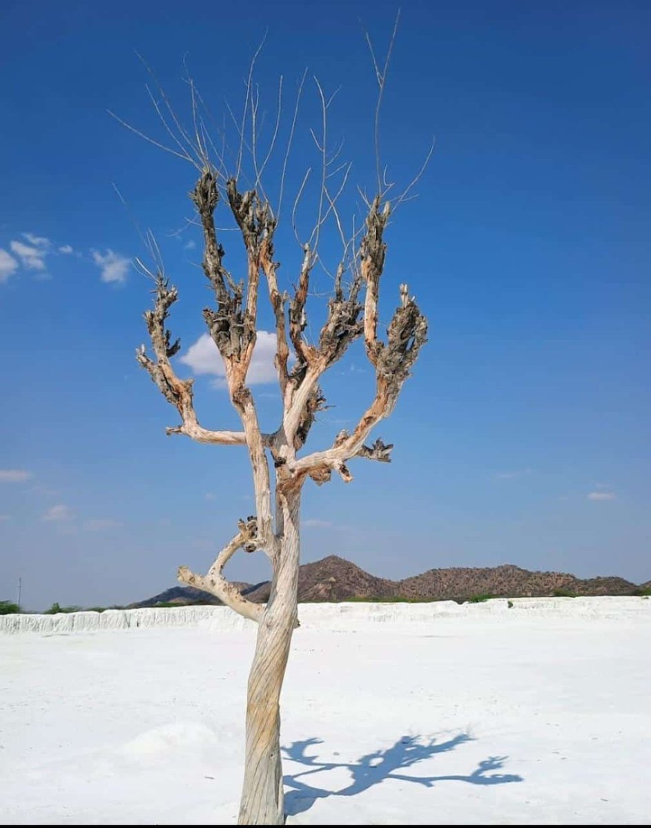 sksk737's tweet image. Nature...