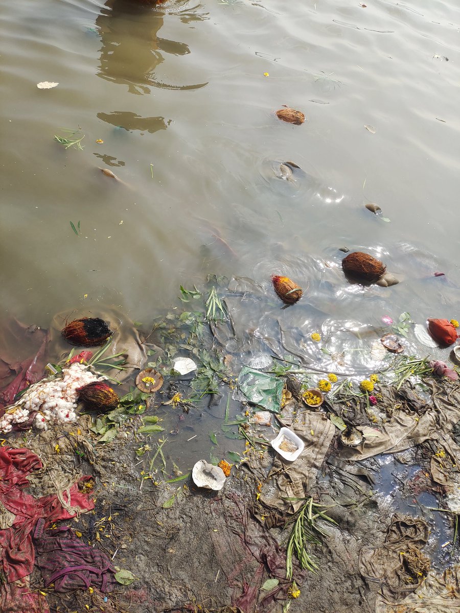 aditya_telkar23's tweet photo. Looks like the govt and people both have normalised this. #gangapur #sangam https://t.co/dlVn7n1p71