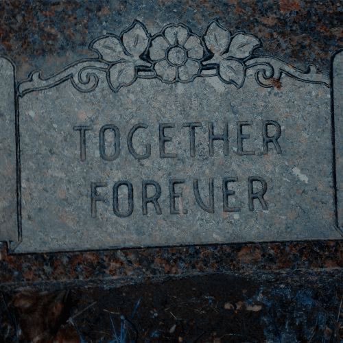 SeesTheGhost's tweet photo. •       
   |
   |     ❝ 🥀 ❞ 
   |
   |    | #𝑺𝐞𝐝𝐮𝐜𝐭𝐢𝐯𝐞𝑺𝐮𝐧𝐝𝐚𝐲. 
   |        
   |
   |     ━━━━━━━━━━━━ https://t.co/toqMthIJ3a