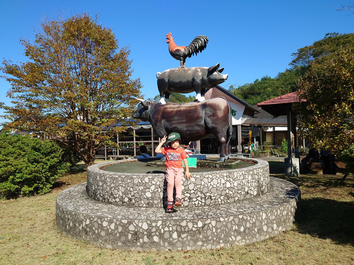 HurrysCoffee's tweet photo. こんにちは。弥五郎どん祭りに行って来ました。山を股にかけた伝説の巨人。楽しかったです。
#企業公式　#ハリーズベストコーヒー
#弥五郎どん祭り #曽於市 #都城市 https://t.co/qoBuXHH6E5