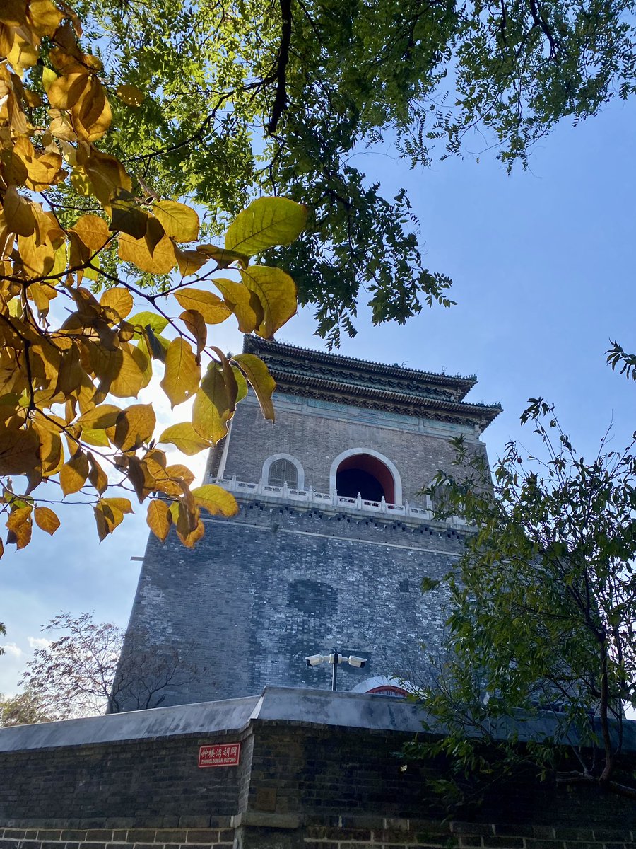 EmilyHalf91's tweet photo. Beijing in yellow 💛🍁🍂 https://t.co/nWOvAVgghs