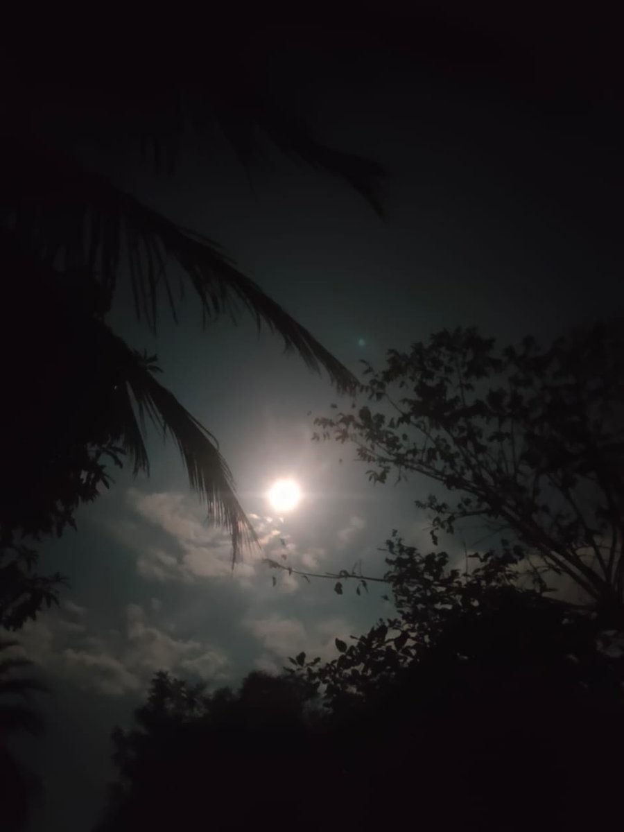 imiswarchandra's tweet photo. "Beauty begins the moment you decide to be yourself." https://t.co/T0AKvxZEdU