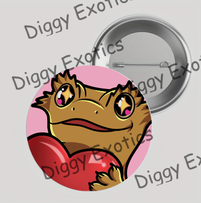 DiggyExotics's tweet photo. Shh... Buttons are coming.👀🤫 #crestedgecko #crestedgeckos #crested #reptile #lizards

https://t.co/K6saE3kQJZ https://t.co/vQjsDBrfvl