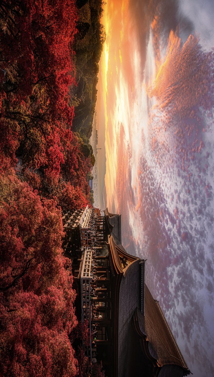 maybeeeeem's tweet photo. #この組み合わせはずるいだろ選手権
清水寺 × 紅葉 × 爆焼け https://t.co/JXPgFkMljb