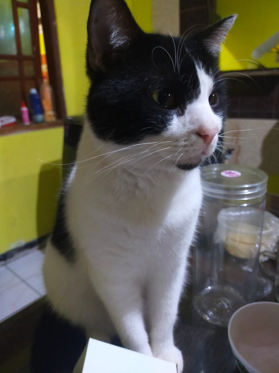 Tampak pintar dan intelektual