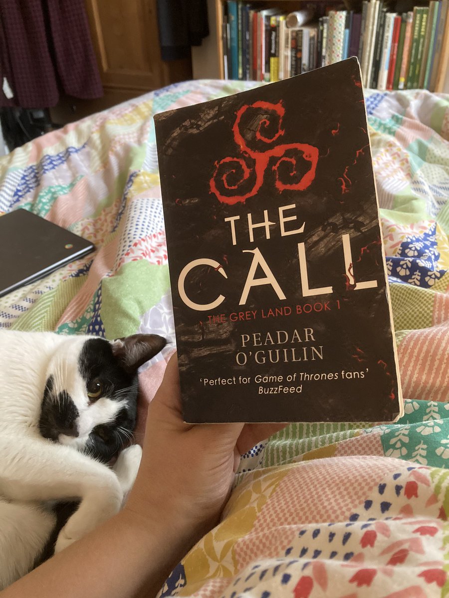 Library Lady tweet media