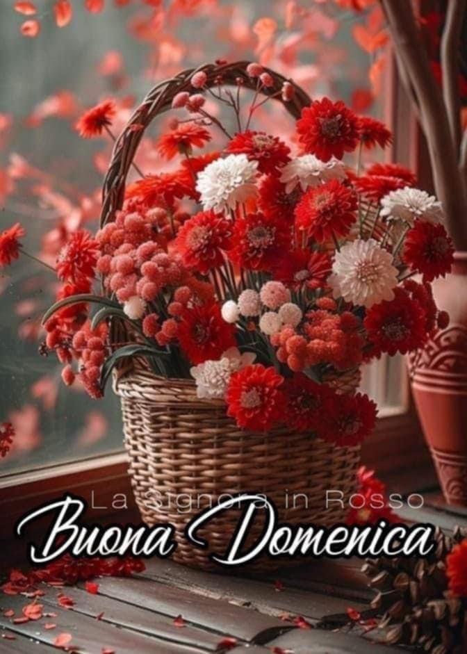 RITABIANCHi56 tweet media