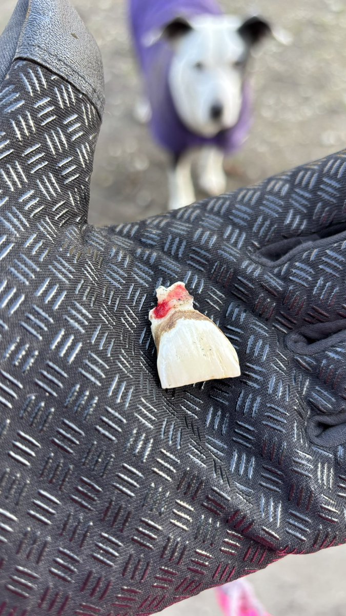 Mo lost another baby tooth keep smiling 😁