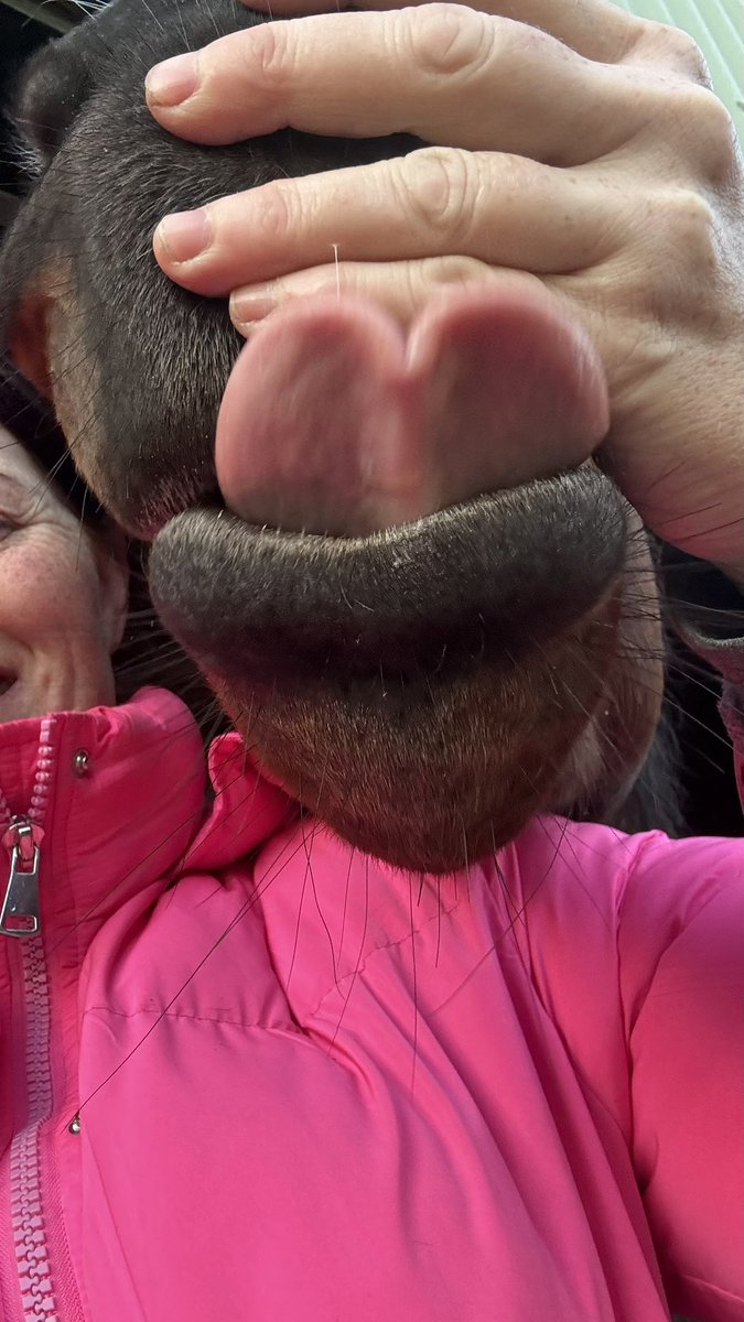 Bianca Dunk Racing tweet media