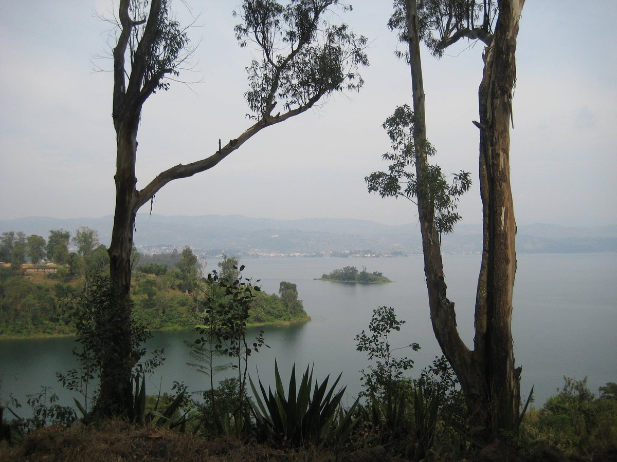 travelstustring's tweet photo. Day 3: In the lead up to the release of my book, each day, I'll be sharing some of my favourite pictures from my travels and life in Africa ๐
๐ฌ๐ญ Cape Coast Fort
๐ท๐ผ On the shores of Lake Kivu
๐น๐ฟ Weary after a long bus trip
๐ฒ๐ฑ Fetish items in Bamako
#EverythingAllOfTheTime https://t.co/pKt4sg2lp6
