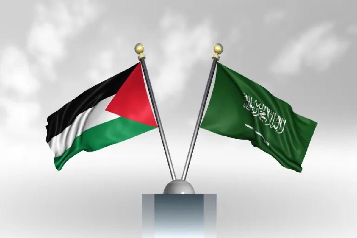 Badr2581's tweet photo. @SPAregions موقف مشرف ودايما المملكة سباقة في نصرة القضية الفلسطينية 
ودعم اخواننا الشعب الفلسطيني على مر التاريخ 💚

https://t.co/HGxb2ZOiyB