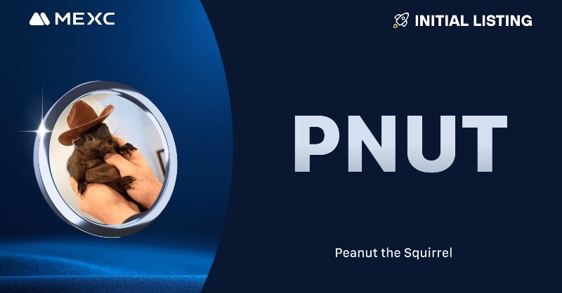 MEXC's tweet photo. 🚨#MEXC New Listing Alert!

📈 $PNUT/USDT Trading in the Assessment Zone: 2024-11-03 08:00 (UTC)

@pnutsolana is a meme coin.
