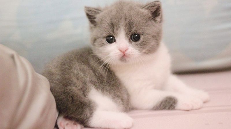 Pat'Gd (@patgd1) on Twitter photo 