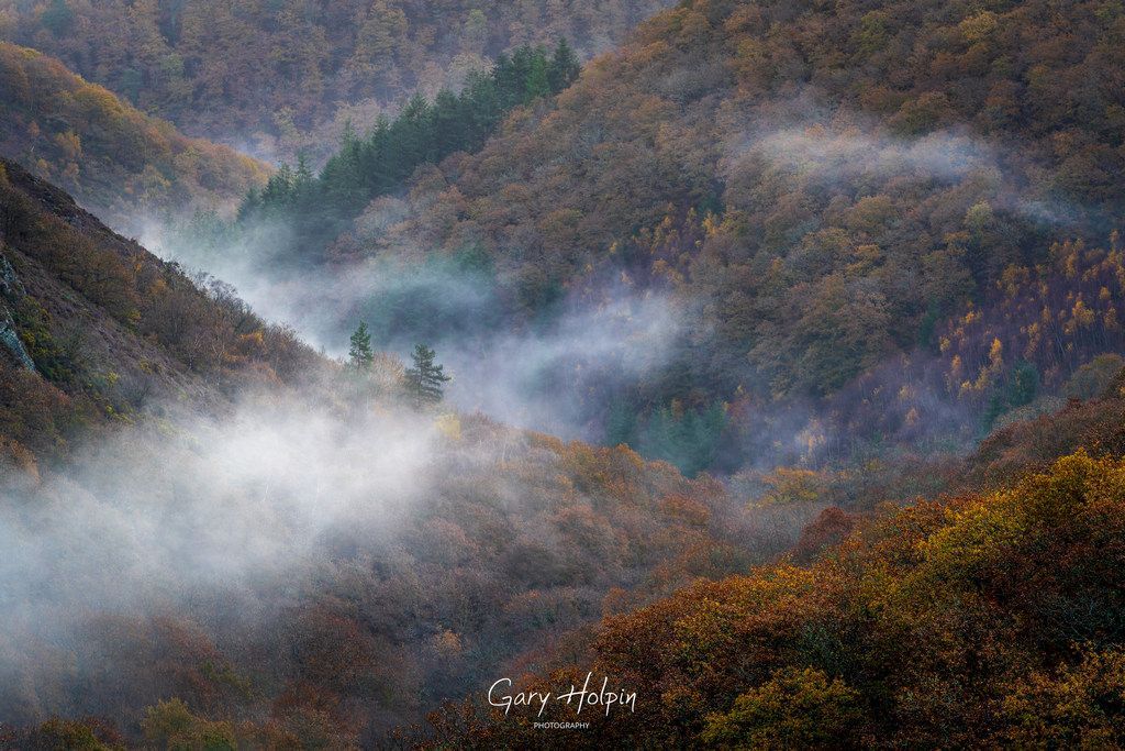 GaryHolpin's tweet photo. Morning! 😀 Hope you enjoyed last week's photos? Which is your #Sundayvote winner? 
Vote below!!! 
👇👇👇 

If you enjoy my photos, please show your support with a Repost!❤️  

1. (TL) 
2. (TR) 
3. (BL)
or 4. (BR) 

#dailyphoto #dailyphotos #Sundaymotivation #Sundaymorning https://t.co/wTBEa1dkqh
