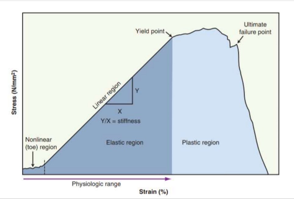 #Clinical_Biomechanics

كيف يمكن تطبيق تمرينات الإطالة للعضلات بصورة فعالة وبدون إصابة ؟

هناك العديد من الأمور التي لابد من مراعاتها لتحقيق الإطالة الفعالة للعضلات

1️⃣ أن تكون القوة المستخدمة في الإطالة للعضلة كافية للوصول إلي 
Plastic Range
الذي يضمن عدم العودة مجددا إلى الطول