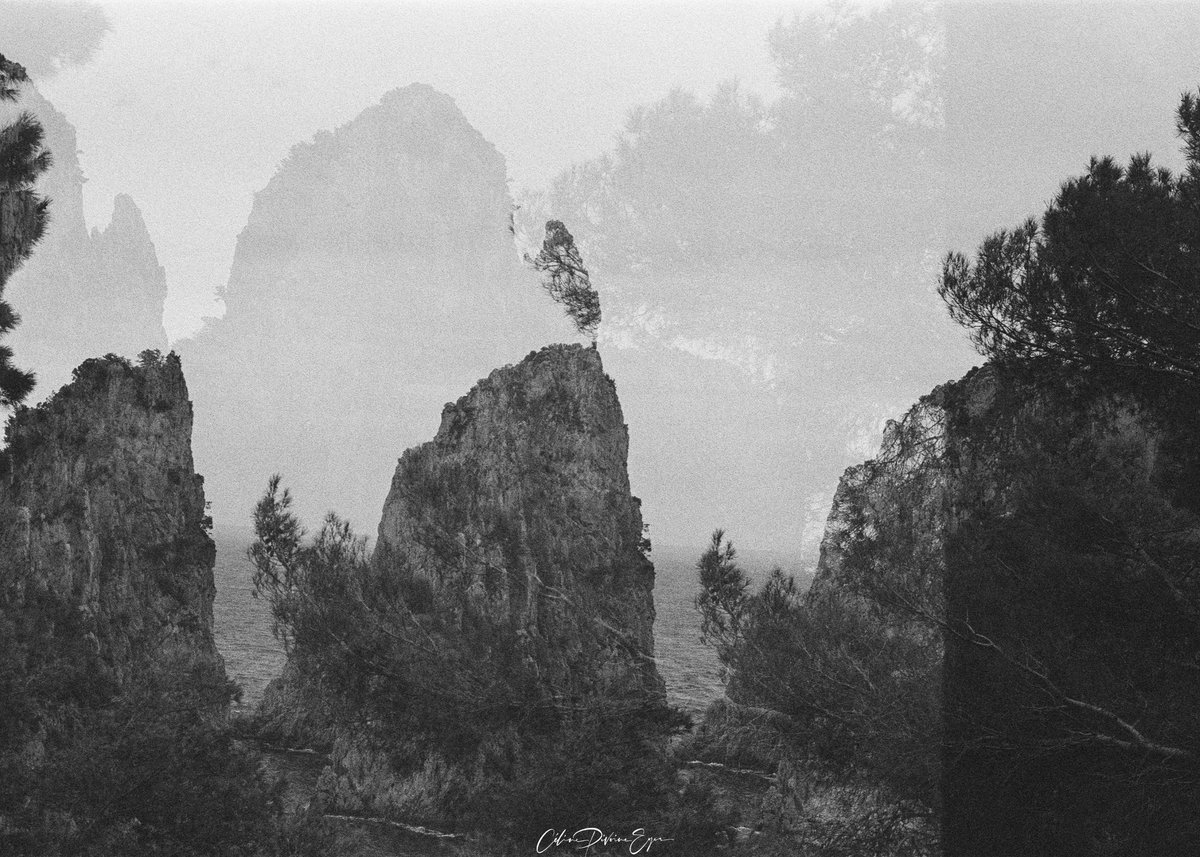 CelinePivoine's tweet photo. Capri - les rochers par temps nuageux.
Argentique avec un Retina IIB.
Tireur : @laboajlphotos
#capri #italie #rochers #paysage #argentiquephoto #argentiqueisnotdead #celinepivoine #2024 #retina2b #doubleexposition #noiretblanc
D’autres ici : https://t.co/dypaZtmARK https://t.co/fMxDkWP1kw