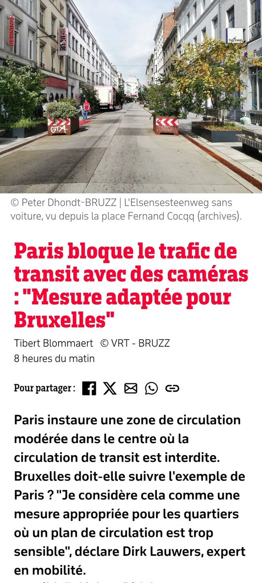 Brussels Sprouts 🌱 tweet media