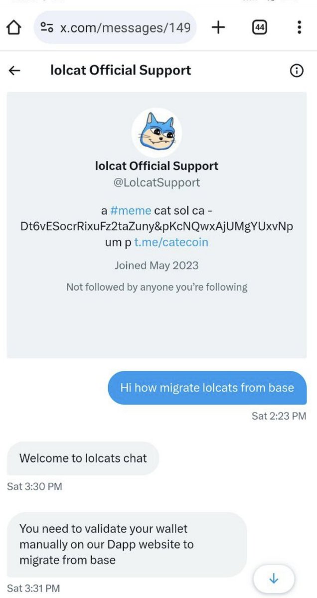 lolcat tweet media