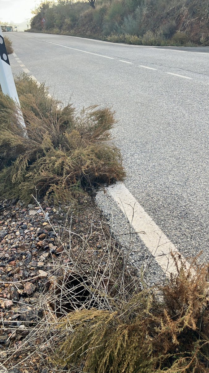 jjvalerog's tweet photo. @dipgra En la margen derecha del pk 12+100 apx (cruce) de la carretera GR-5202 existe una ODT aparentemente colapsada en el tramo de salida. https://t.co/KBJxRXRhZV