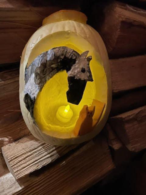 Sophie from 4HF has created a spookey pony and cat!