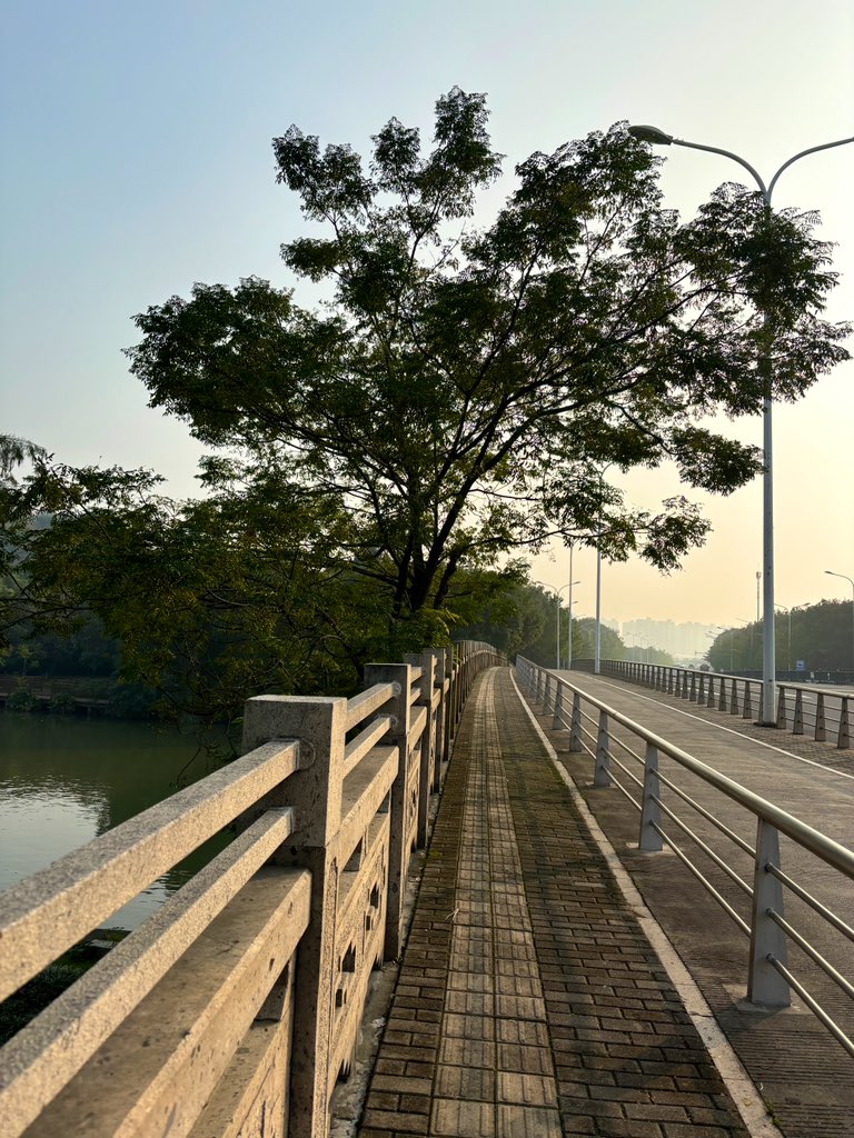 Yetu 🐰 tweet media