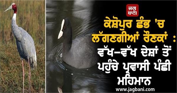 JagbaniOnline's tweet photo. ਕੇਸ਼ੋਪੁਰ ਛੰਭ 'ਚ ਲੱਗਣਗੀਆਂ ਰੌਣਕਾਂ : ਵੱਖ-ਵੱਖ ਦੇਸ਼ਾਂ ਤੋਂ ਪਹੁੰਚੇ ਪ੍ਰਵਾਸੀ ਪੰਛੀ ਮਹਿਮਾਨ
https://t.co/E1OhOHnwEJ
#Migrantbird #differentcountries #KeshopurChambha #Gurdaspur #Jagbani https://t.co/IJSccqif4g