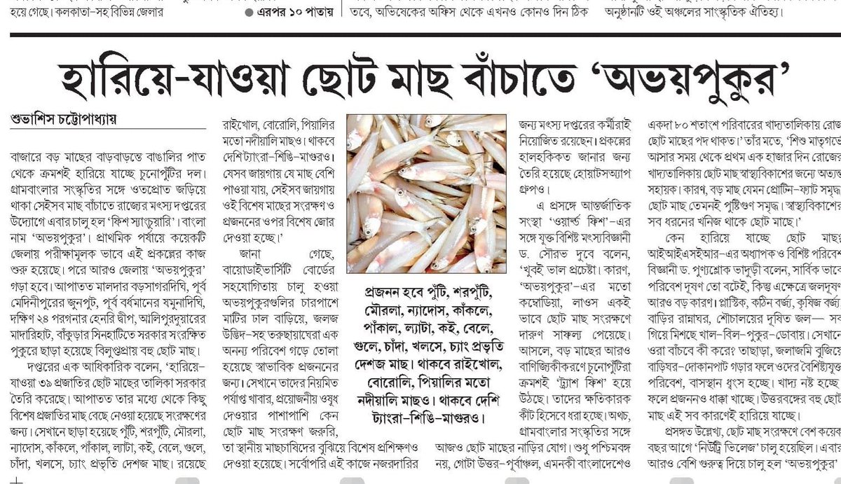An excellent news report by #SubhashisChattopadhyay in the regional daily <a href="/aajkaal_news/">Aajkaal News Paper</a> highlighting plight of small indigenous fish species (SIS) and proposed plans of <a href="/egiye_bangla/">Egiye Bangla</a> to conserve SIS habitats in West Bengal; comments by <a href="/SourabhDubeyWB/">Sourabh Kumar Dubey</a> &amp; us <a href="/ITMERG1/">ITMERG</a>