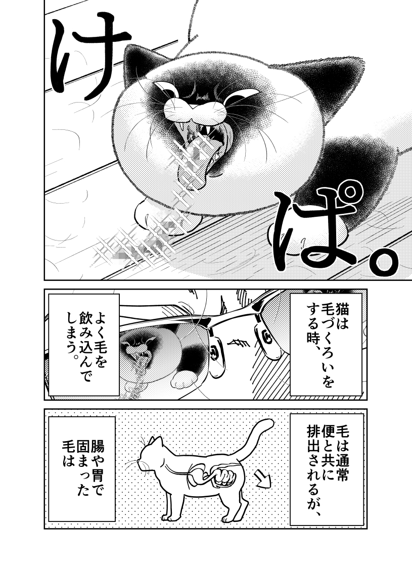 (3/3) 