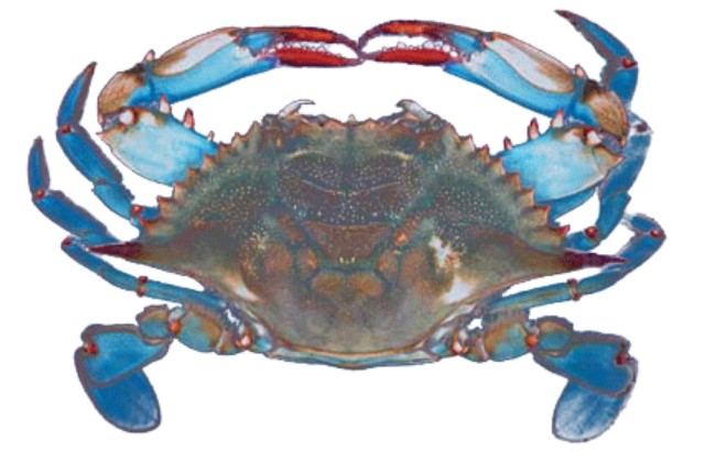 AccessInfos📖🖊 tweet media