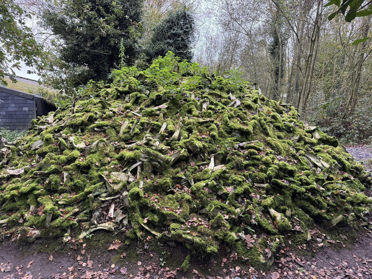 Ruud van der Velden tweet media