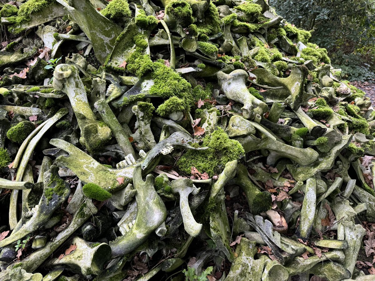 Ruud van der Velden tweet media