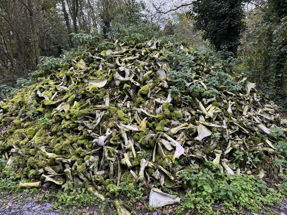 Ruud van der Velden tweet media