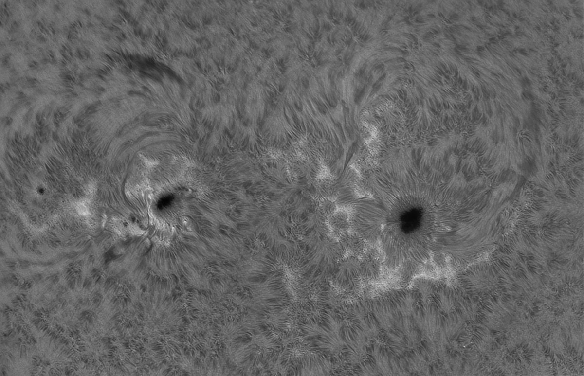 yltansg's tweet photo. 3Nov24@0930UTC. Sun is quiet after some serious flares earlier this week. Using a hybrid 150mm solar refractor I did a #HAlpha survey of the solar disk and limbs in the higher #Chromosphere. https://t.co/Sl3XKYbTJP
